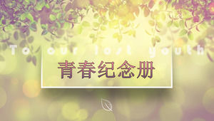 Светлый и теневой пестрый шаблон «Молодой альбом» PPT