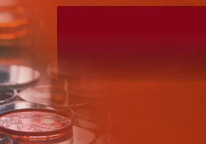 Жидкий Анализ проб