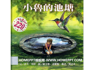 “小鲁的池塘”图片故事
