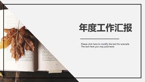 Raport de lucru minimalist PPT