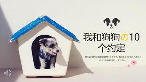 PPT-Vorlage für Haustieralbum