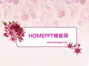 Rosa bellezza femminile trucco modello PPT scaricare