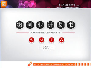 紅微 - 維企業融資計劃PPT圖表大全