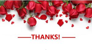 روز 38 يوم المرأة قالب PPT