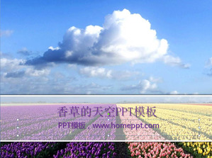 鬱金香的PowerPoint模板下載天空下