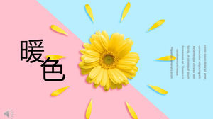 温かみのある色調の小さな仕事のまとめレポートPPTテンプレート