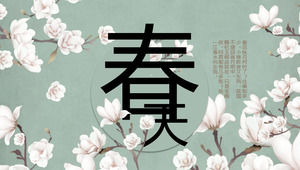 Modello primavera PPT bellissimi ed eleganti fiori