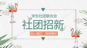 Związek studencki rekrutuje nowych rekrutów ppt