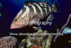 潜水艦ハワイパワーポイントテンプレート