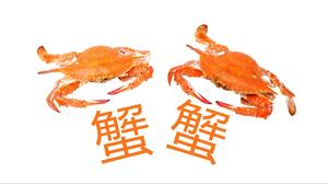 Template kesimpulan ThankPPT warna-warni yang kreatif...