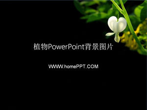 ยี่สิบสองโรงงานสีดำภาพพื้นหลัง PowerPoint