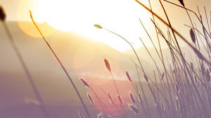 اثنين جميلة الطبيعية صور خلفية PPT