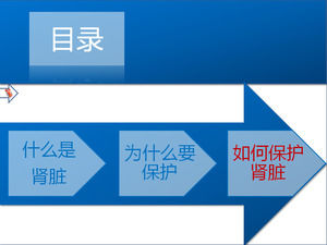 Qual è il rene, come proteggere il rene PPT didattico scaricare