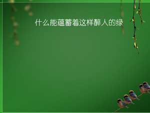 Wiklina tło wróbel „zielony” szablon PPT do pobrania