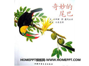 „Coada minunat“ imagine carte de povesti