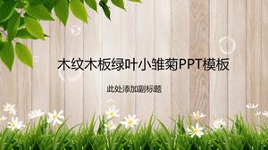 Modello PPT di daisy green leaf verde in legno