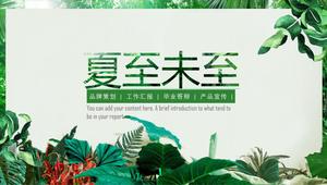 Work summary report summer refreshing style PPT template